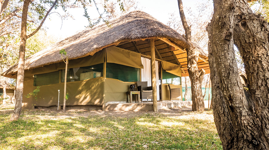 ivory-luxury-camp-bungelow
